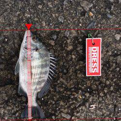 40オーバー中々こなーーい