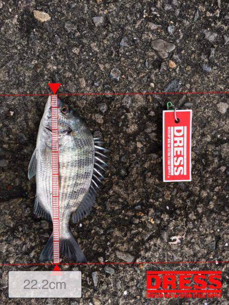 40オーバー中々こなーーい