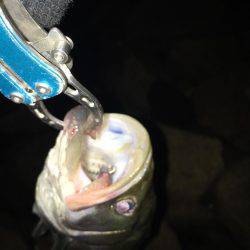 淀川キビレゲーム 七夕ラッシュ