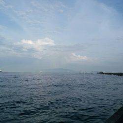 シーバス×太刀魚×青物