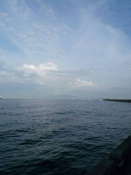 シーバス×太刀魚×青物