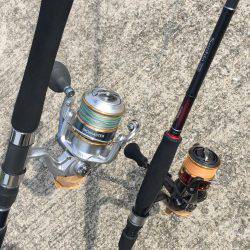 タコ?からのツバス?時合い