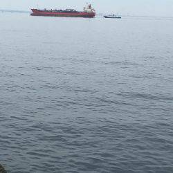 君、じゃないの!