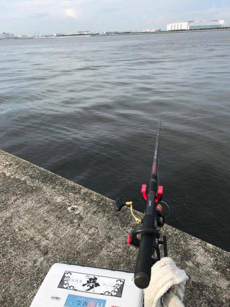 宇部波止でエビ撒き！