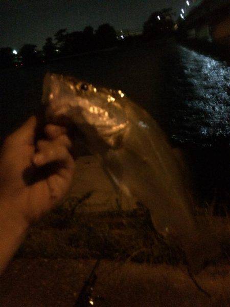 学校終わってからランガン