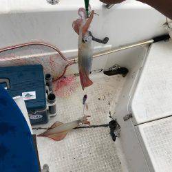 マイボートで昼間のイカメタルゲーム