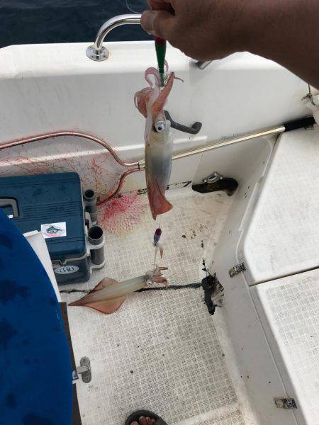 マイボートで昼間のイカメタルゲーム