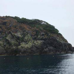 日本海ボートロック&ジギング