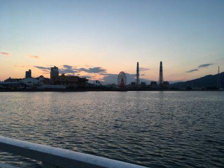 久しぶりのチヌ