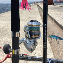 ポーアイ沖堤でツバスとタコ大漁！