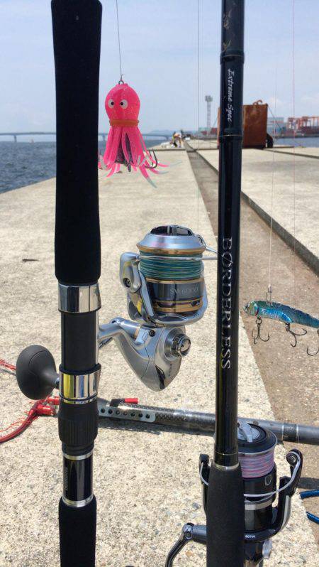 ポーアイ沖堤でツバスとタコ大漁！