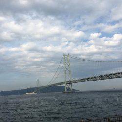 サバの回遊あり！