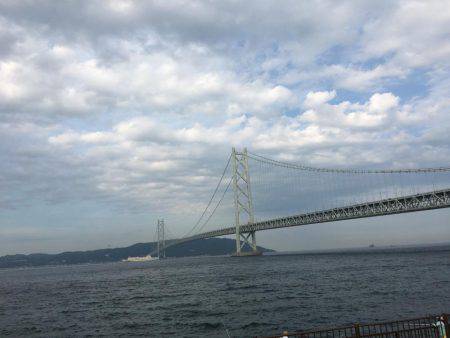 サバの回遊あり！