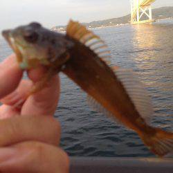 アジュール舞子でガシリング！！