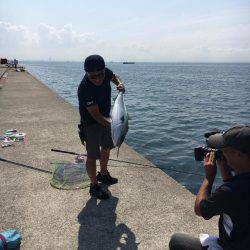 ポーアイ沖にて、ツバス