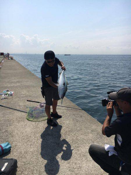 ポーアイ沖にて、ツバス