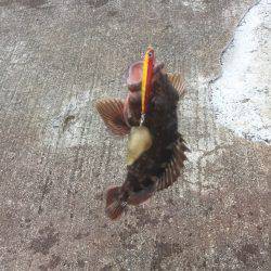 スーパーライトショアジギング