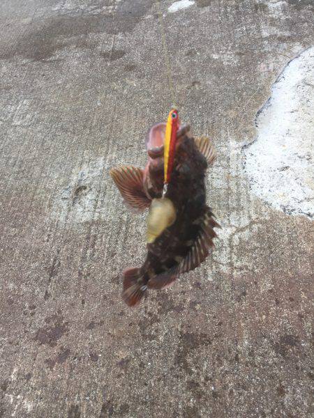 スーパーライトショアジギング