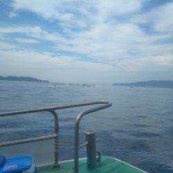 シーズン到来?タチウオ