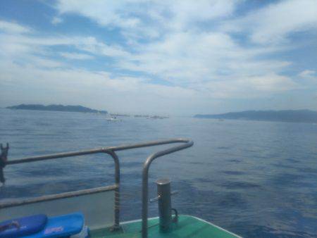 シーズン到来?タチウオ