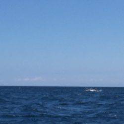 マイボートでタイラバ、ジギング