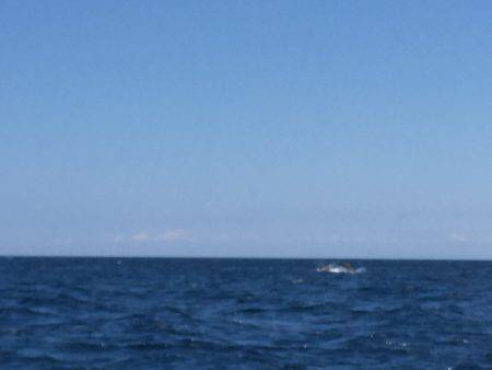 マイボートでタイラバ、ジギング