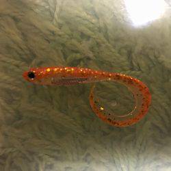 念願の明石鯛!!