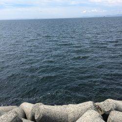 ツバス、少しずつサイズアップ^_^;