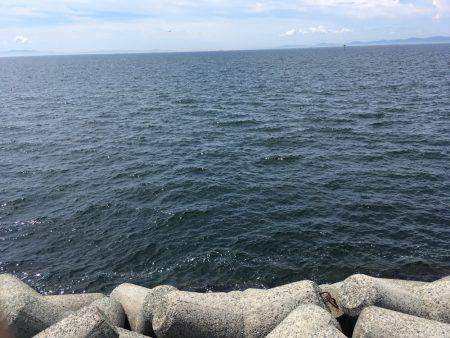 ツバス、少しずつサイズアップ^_^;