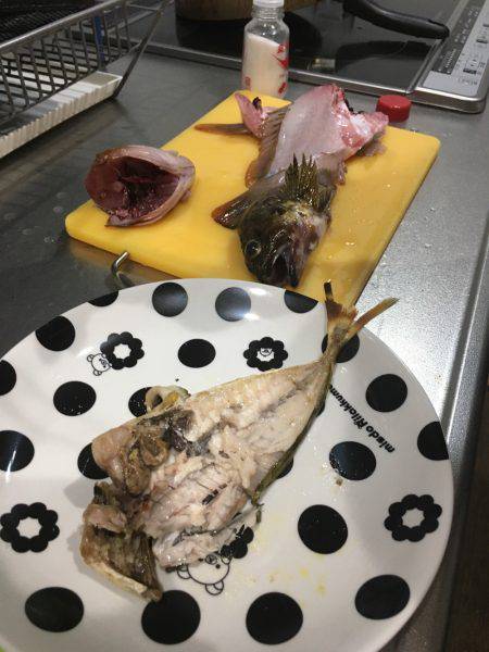 マアジ、ガシラ、アコウ