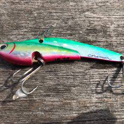 雨、ローライト、シーバスゲーム