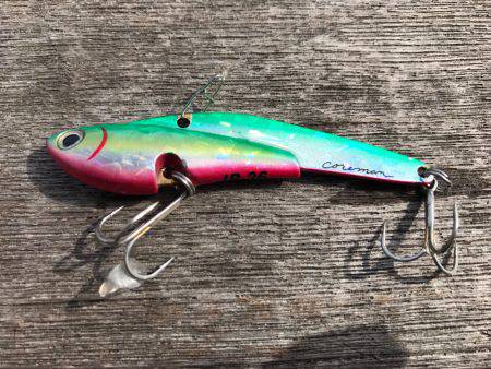 雨、ローライト、シーバスゲーム