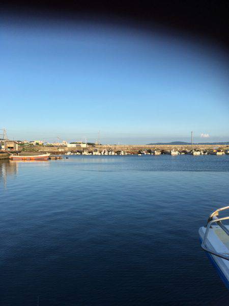 ギリギリお持ち帰りサイズ。