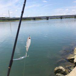 チヌポッパーIN宮川