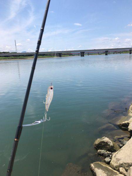 チヌポッパーIN宮川