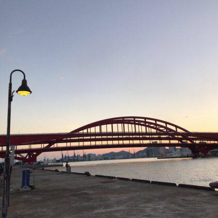 ジグサビキでアジ！