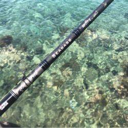 初ライトショアジギング