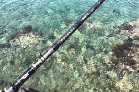 初ライトショアジギング