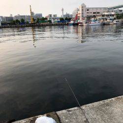 ジグサビキでアジ・サバ!