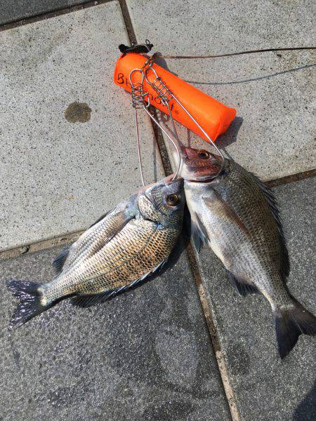 まだ早いかな？