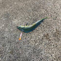 シイラトップゲーム