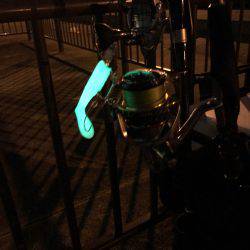 やっぱりタチウオは楽しい