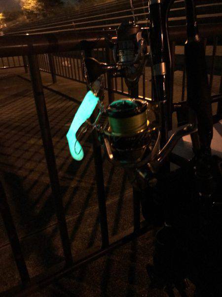 やっぱりタチウオは楽しい