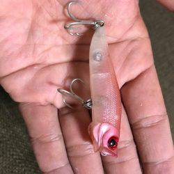 チヌポッパー宮川