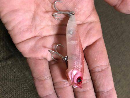 チヌポッパー宮川