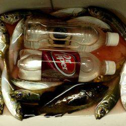 久しぶりのホーム