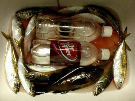 久しぶりのホーム