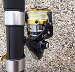 逃がした魚は大きい!?