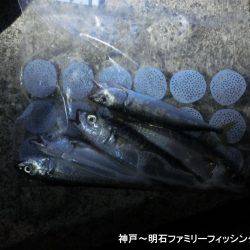 小サバ狙いで激渋