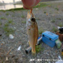 大キス狙いのはずが・・・まっいいか